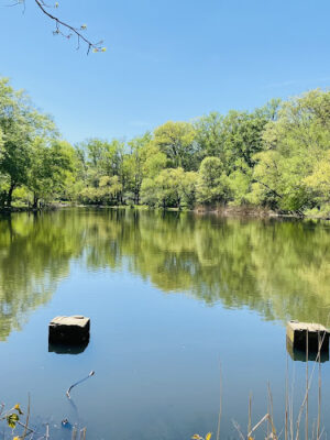 Fenimore Park
