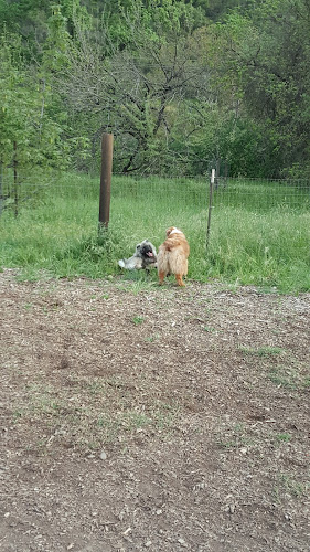 Wappo Park & Dog Park