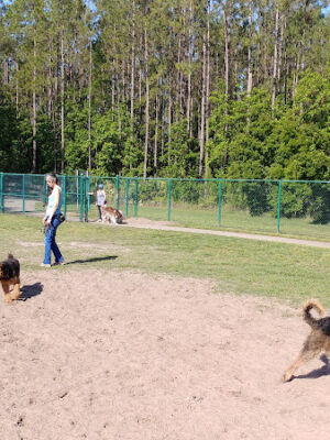 Veterans Park Dog Park