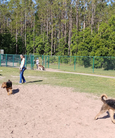 Veterans Park Dog Park