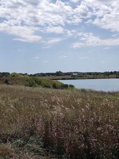 Motz Park - St Johns,