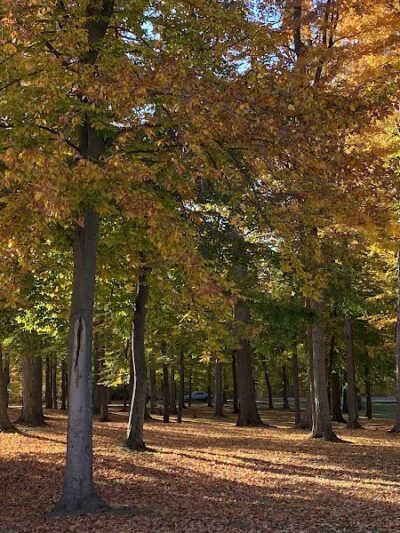 St. Johns City Park - St Johns,