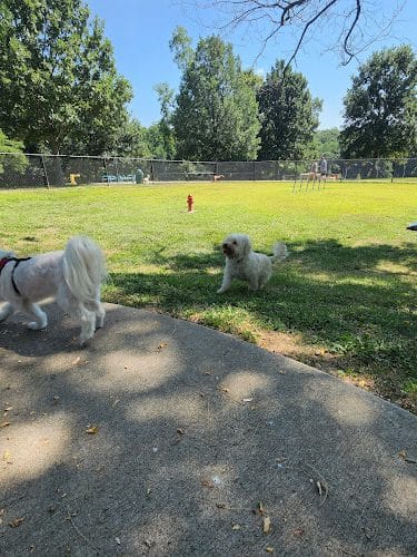 Corby Dog Park