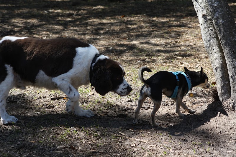 Fox Park Dog Park - St. Louis, MO