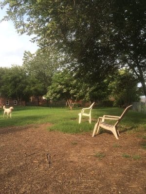 Frenchtown Member's Only Dog Park