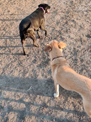 Southwest City Dog Park (Members Only)