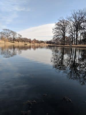Southwest City Dog Park (Members Only)