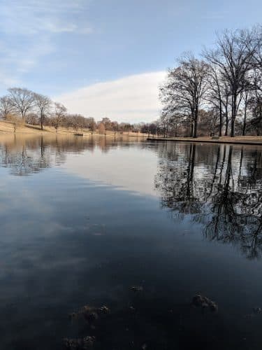 Southwest City Dog Park (Members Only)