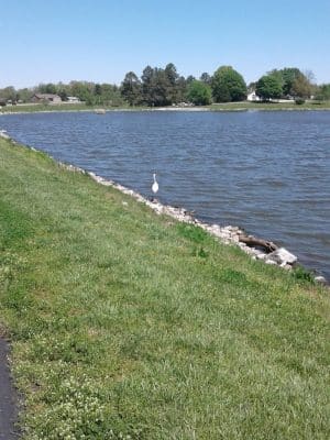 Southwest City Dog Park (Members Only)