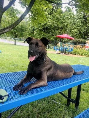 Southwest City Dog Park (Members Only)