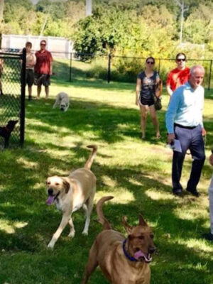St. Johns Community Dog Park