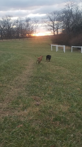 Tails & Trails Dog Park at Queeny Park(membership)