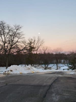 Tails & Trails Dog Park at Queeny Park(membership)