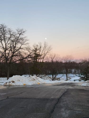 Tails & Trails Dog Park at Queeny Park(membership)