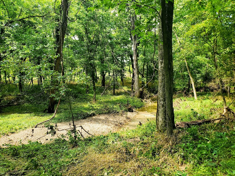 Tails & Trails Dog Park at Queeny Park(membership) - St. Louis, MO