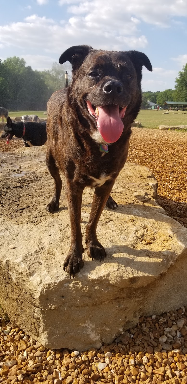 Tails & Trails Dog Park at Queeny Park(membership) - St. Louis, MO