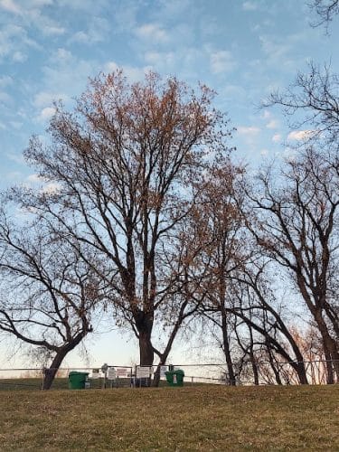Dakota Dog Park