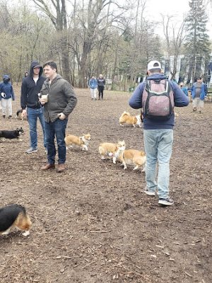 Arlington/Arkwright Off Leash Dog Park