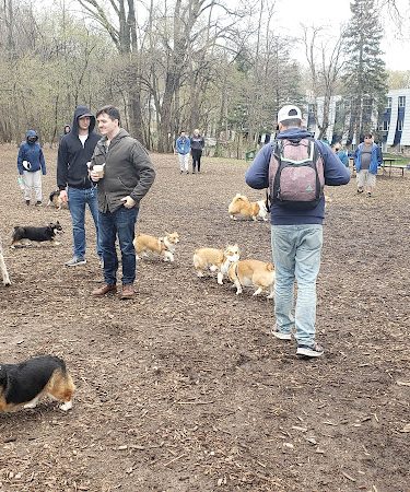 Arlington/Arkwright Off Leash Dog Park