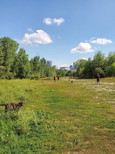 High Bridge Dog Park