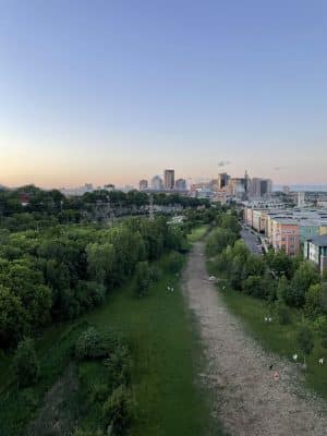 High Bridge Dog Park