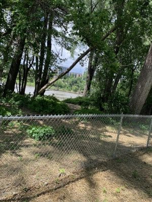 Lilydale Off-Leash Dog Park