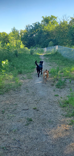 Lilydale Off-Leash Dog Park