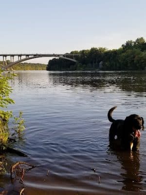 Meeker Island Dog Park