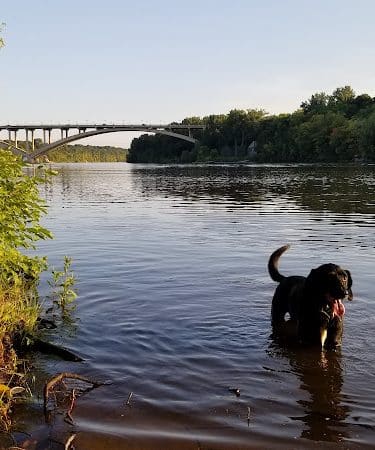 Meeker Island Dog Park