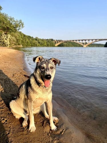 Meeker Island Dog Park