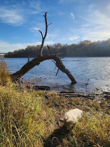 Meeker Island Dog Park