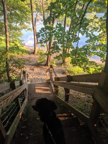 Meeker Island Dog Park