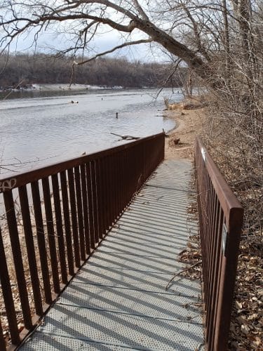 Meeker Island Dog Park