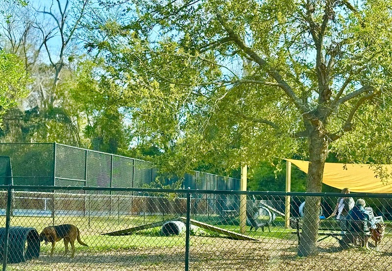 Epworth Dog Park - St Simons Island, GA