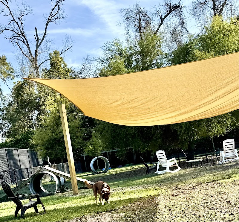 Epworth Dog Park - St Simons Island, GA