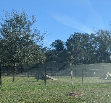 Epworth Dog Park - St Simons Island, GA