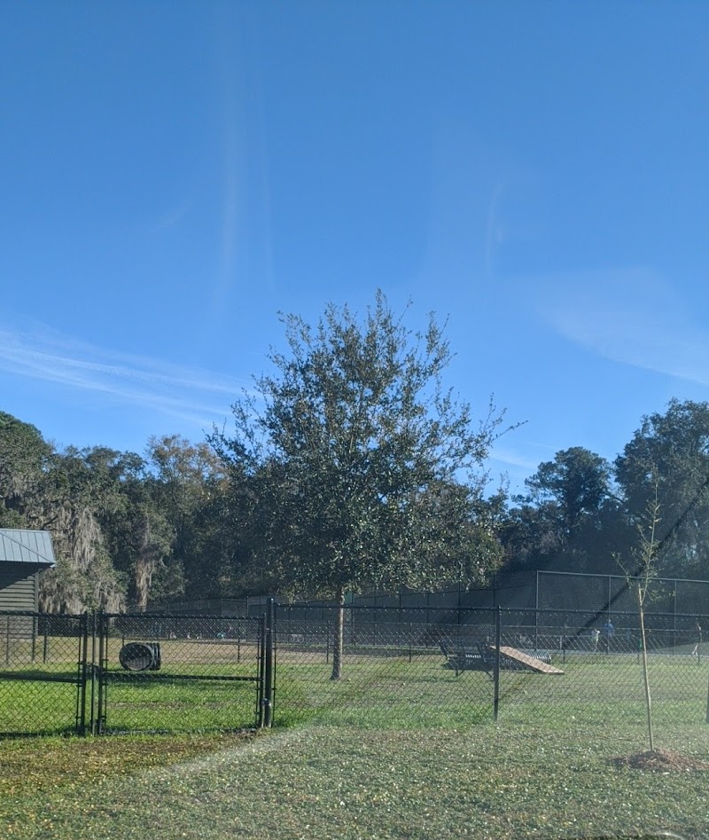 Epworth Dog Park - St Simons Island, GA
