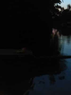Rudolph Park