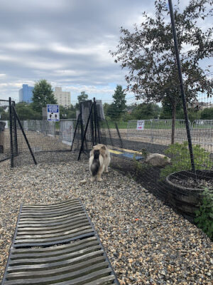 Mill River Bark Park