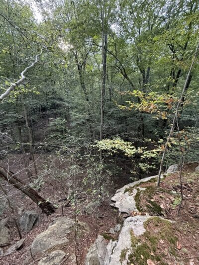 Mianus River Park - Stamford, CT