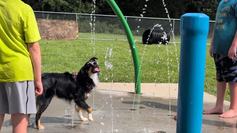 Bailey’s Legacy Dog Park - Stanley, VA