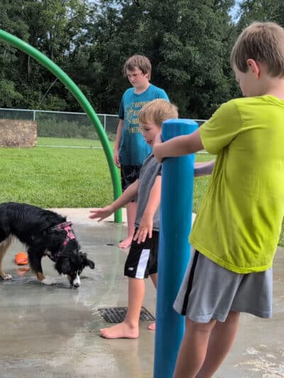 Bailey’s Legacy Dog Park - Stanley, VA