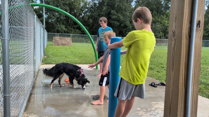 Bailey’s Legacy Dog Park - Stanley, VA