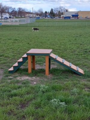 Dog Park