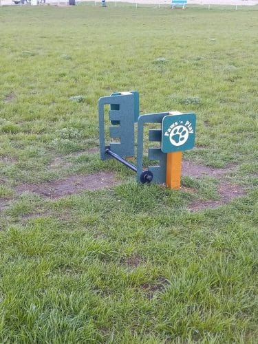 Dog Park