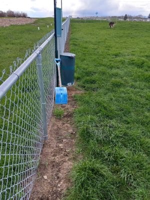 Dog Park