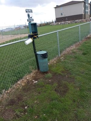 Dog Park