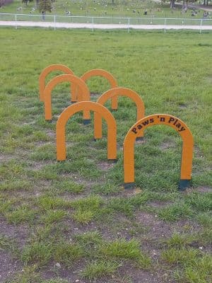 Dog Park