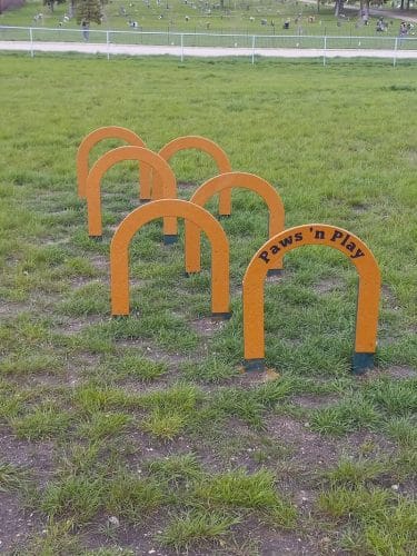 Dog Park