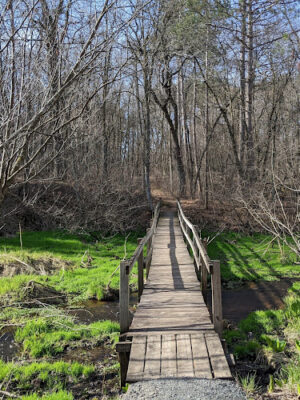 Saratoga Springs Park
